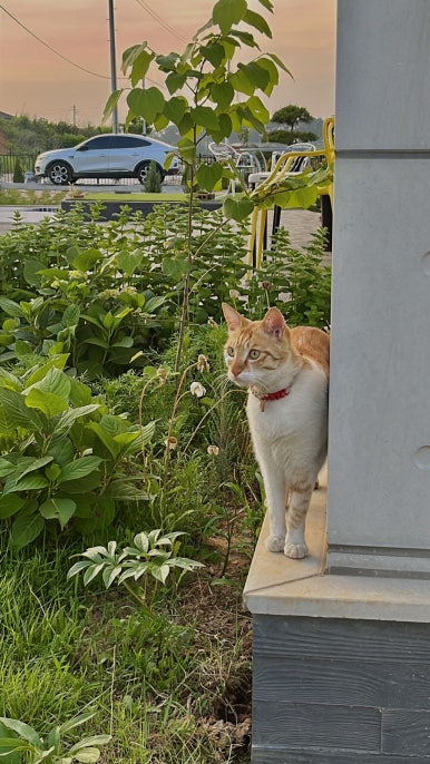 하담스파펜션 이미지