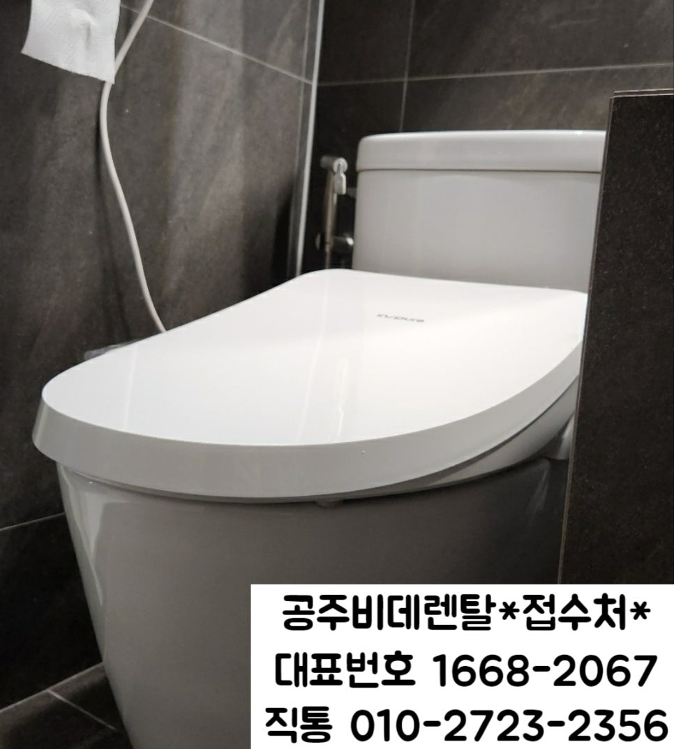 공주비데 이미지
