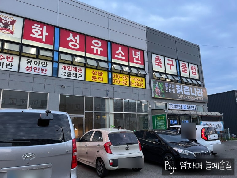 화성유소년축구클럽 이미지