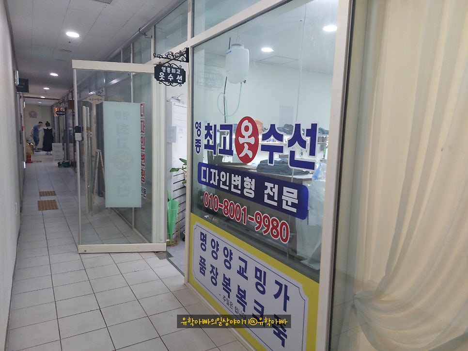 하늘수선 이미지