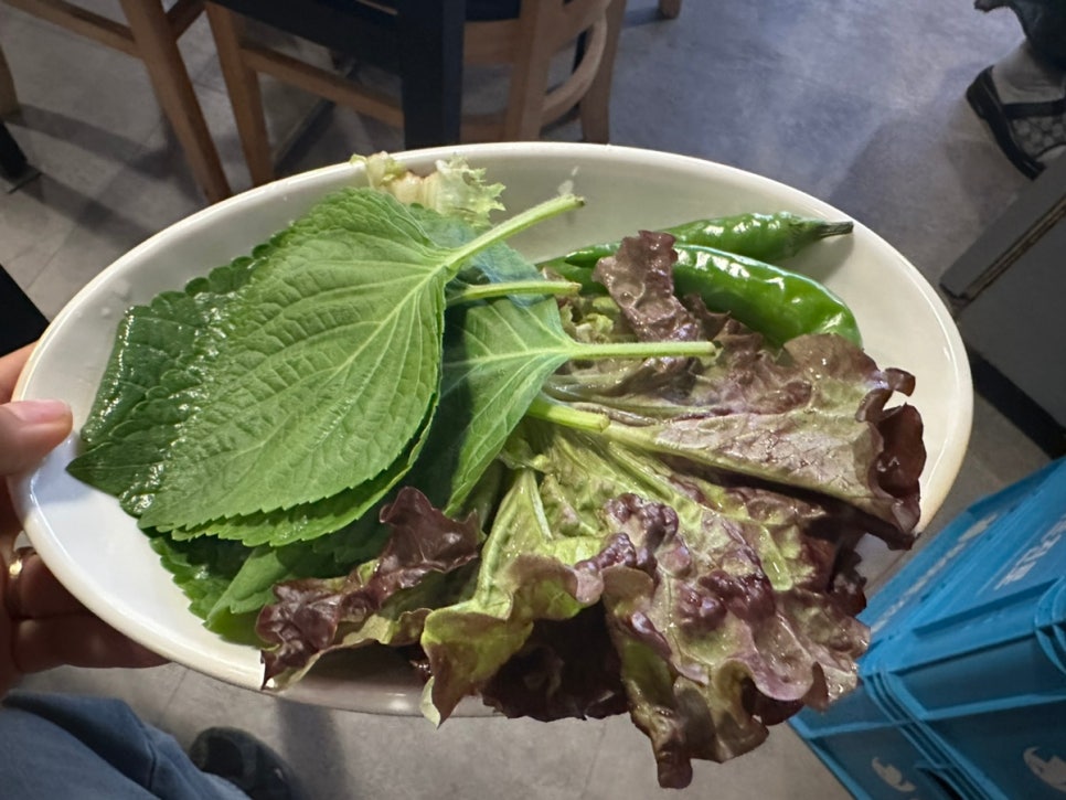 돼지병장 이미지