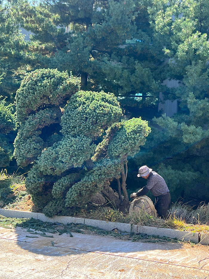 진성조경 이미지