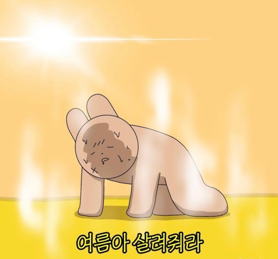 모자온달포장 이미지