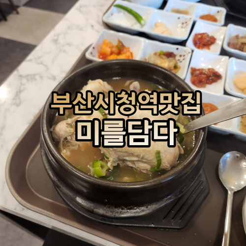 미를담다 이미지