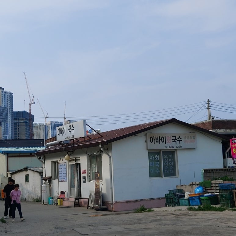 스테이로스터스 이미지