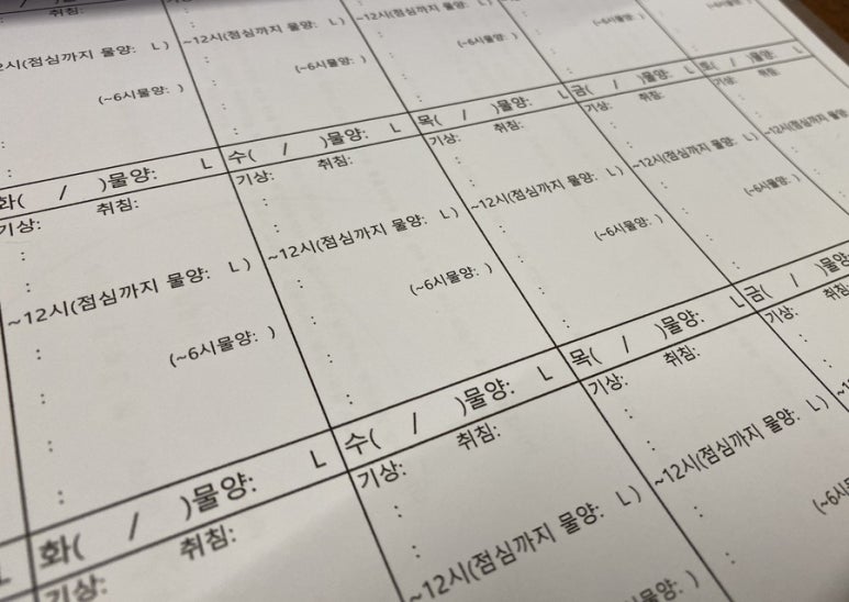 365점핑다이어트 이미지