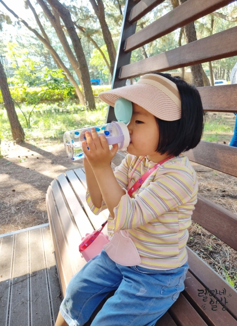 송도 솔밭 유아숲체험원 이미지