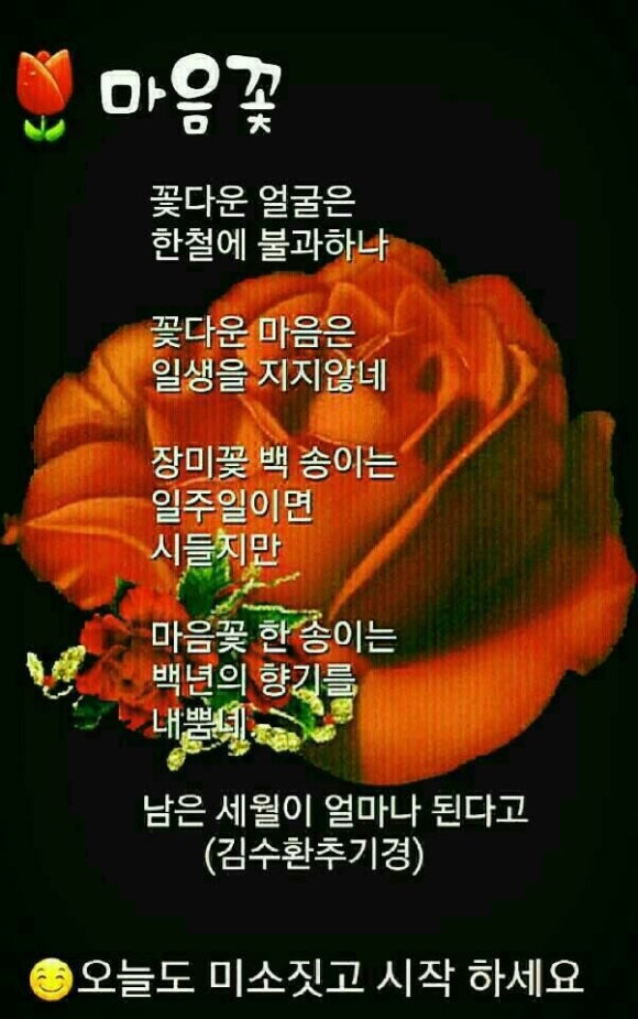 이정이네먹거리 이미지