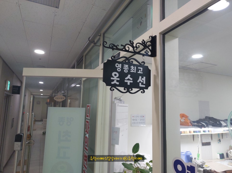 하늘수선 이미지