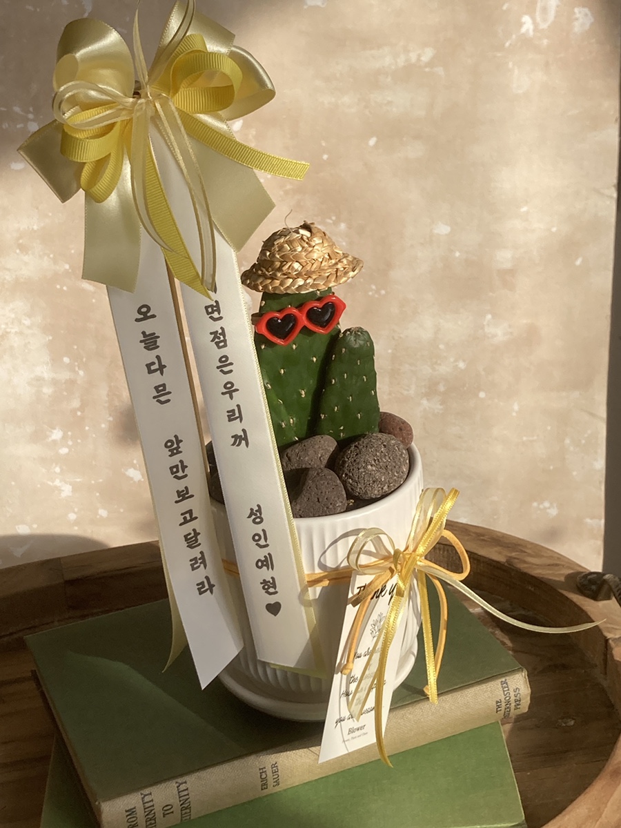 오늘다믄 이미지