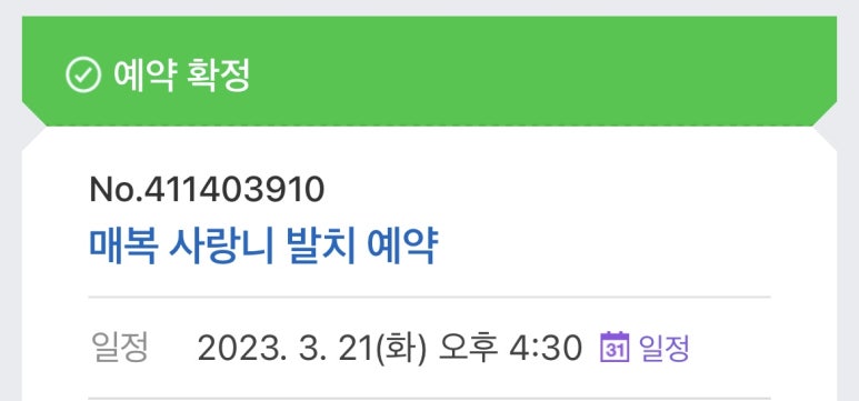 사랑니를부탁해치과 이미지