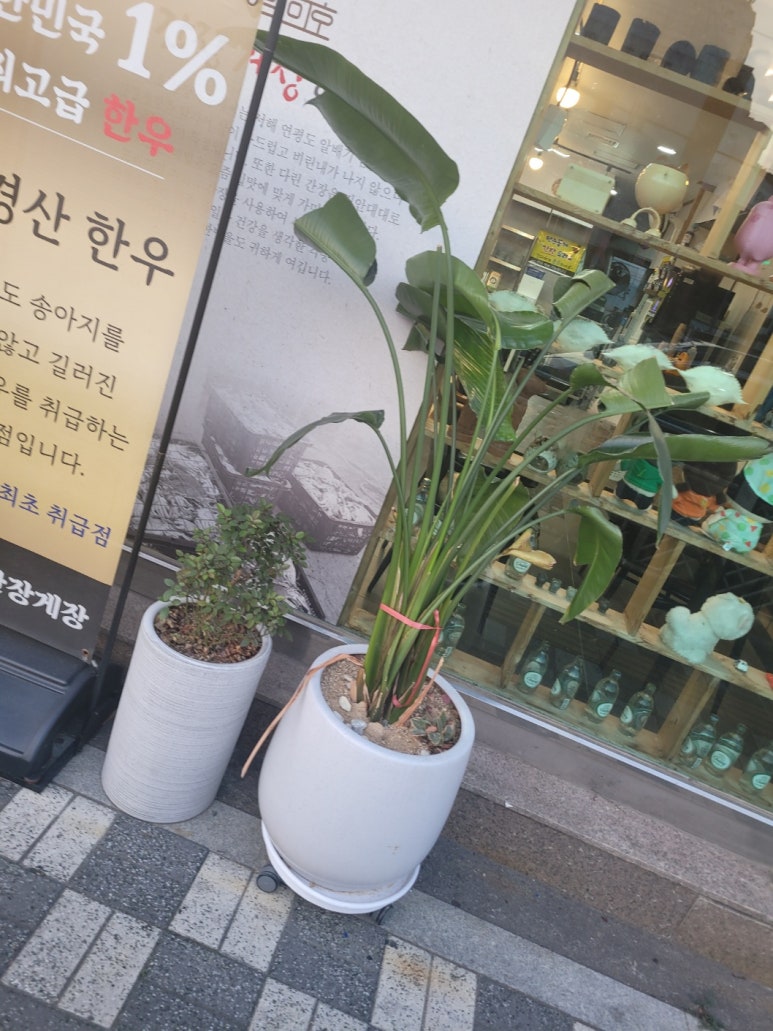 해산물연구소 이미지