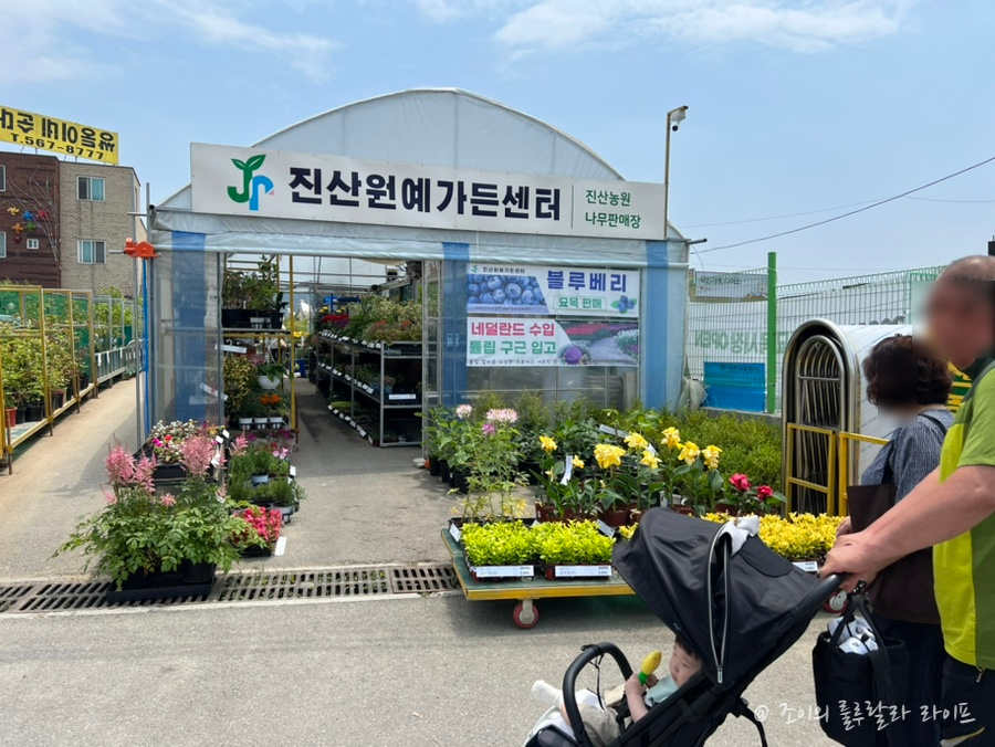 진산원 이미지