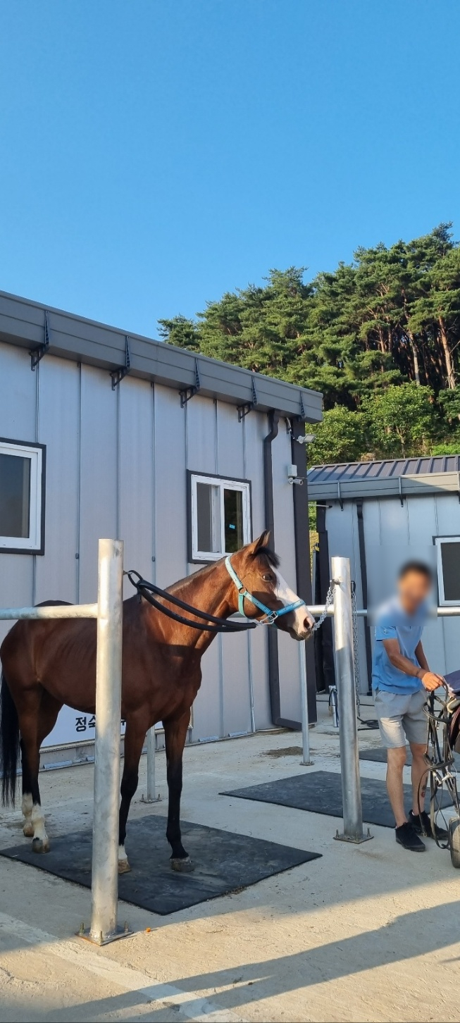 아미승마클럽 이미지