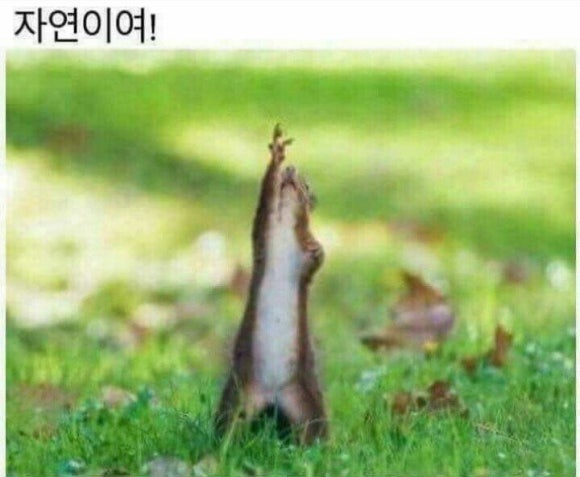(주)자연으로 이미지