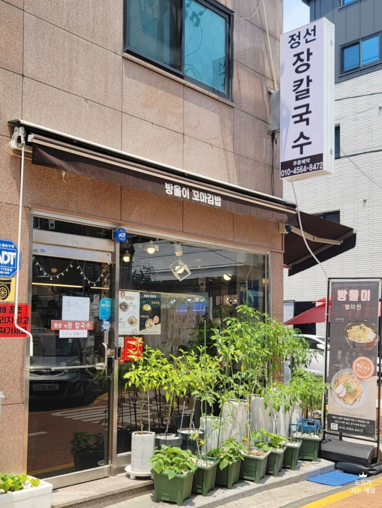 방울이칼국수 이미지