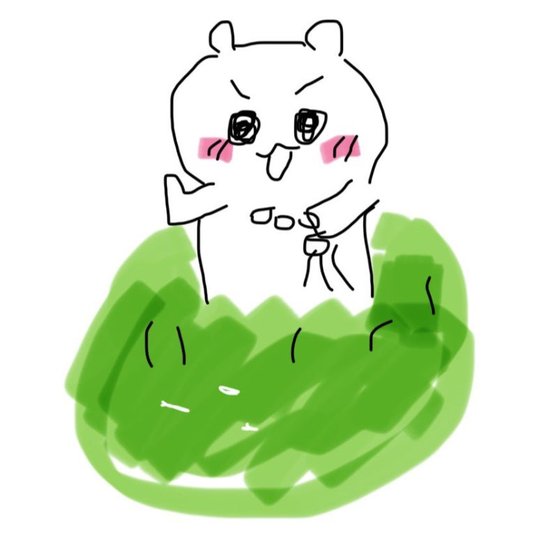 홍라드 이미지