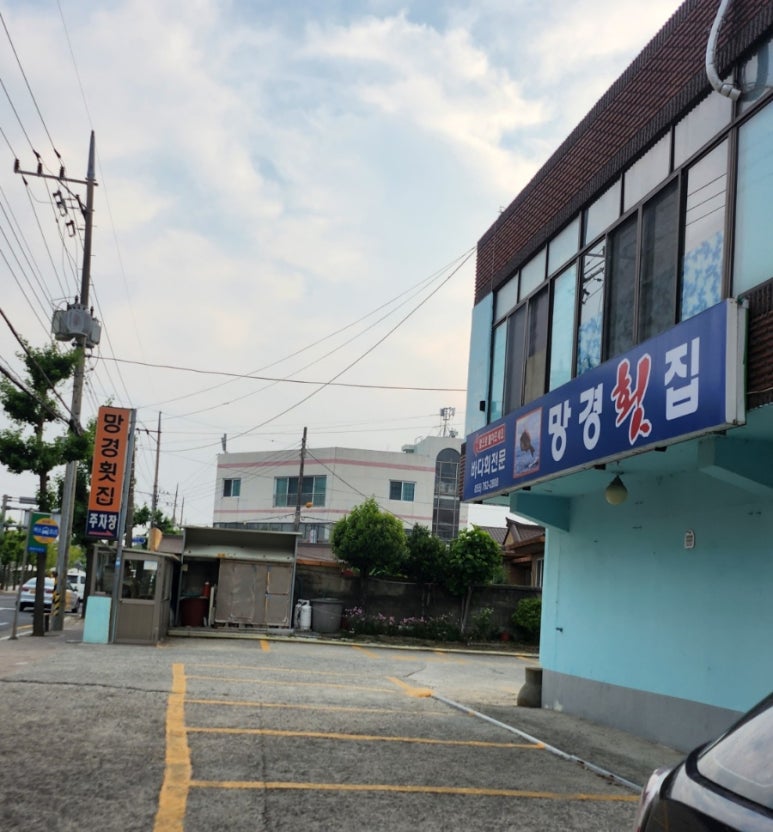 꼼지락장어 이미지