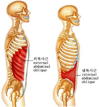 바인드 필라테스 이미지