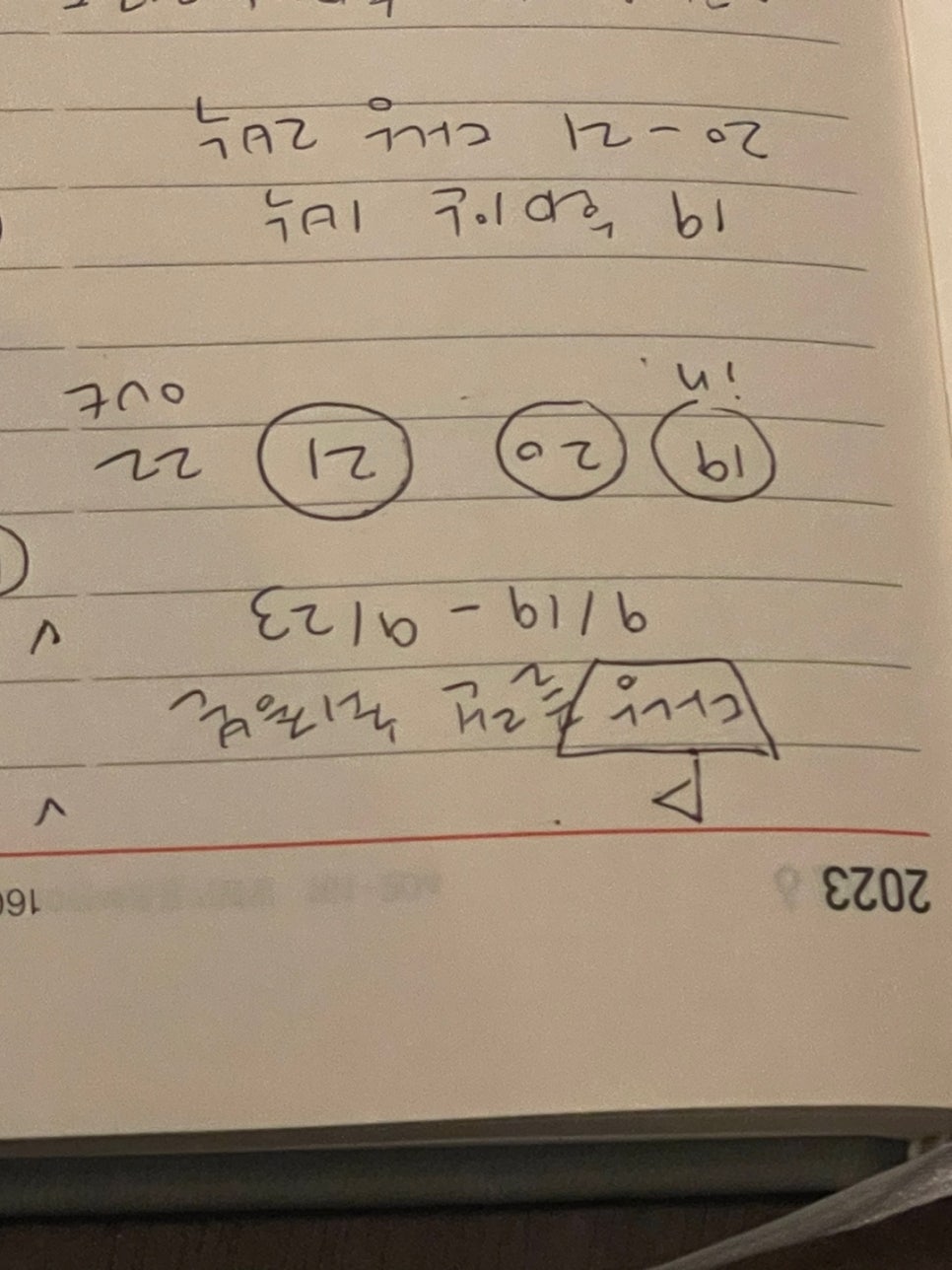 그레이락 이미지