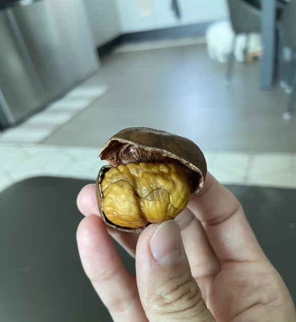 밥주까회주까 이미지