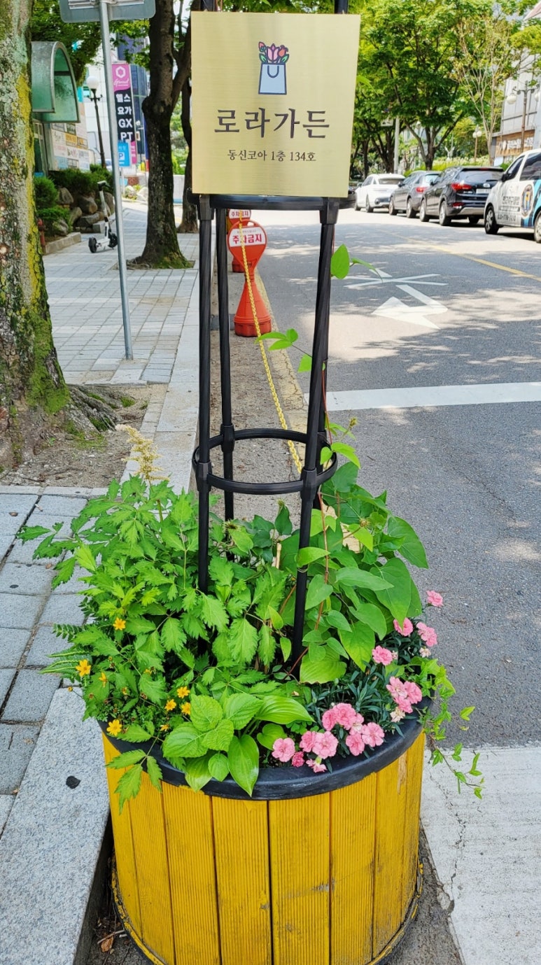 로라가든 이미지