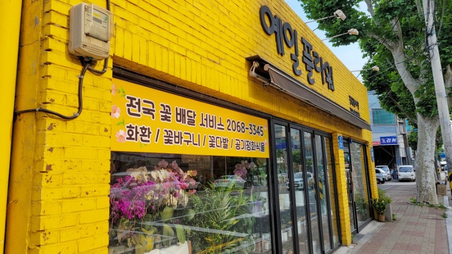 예일플라워 이미지
