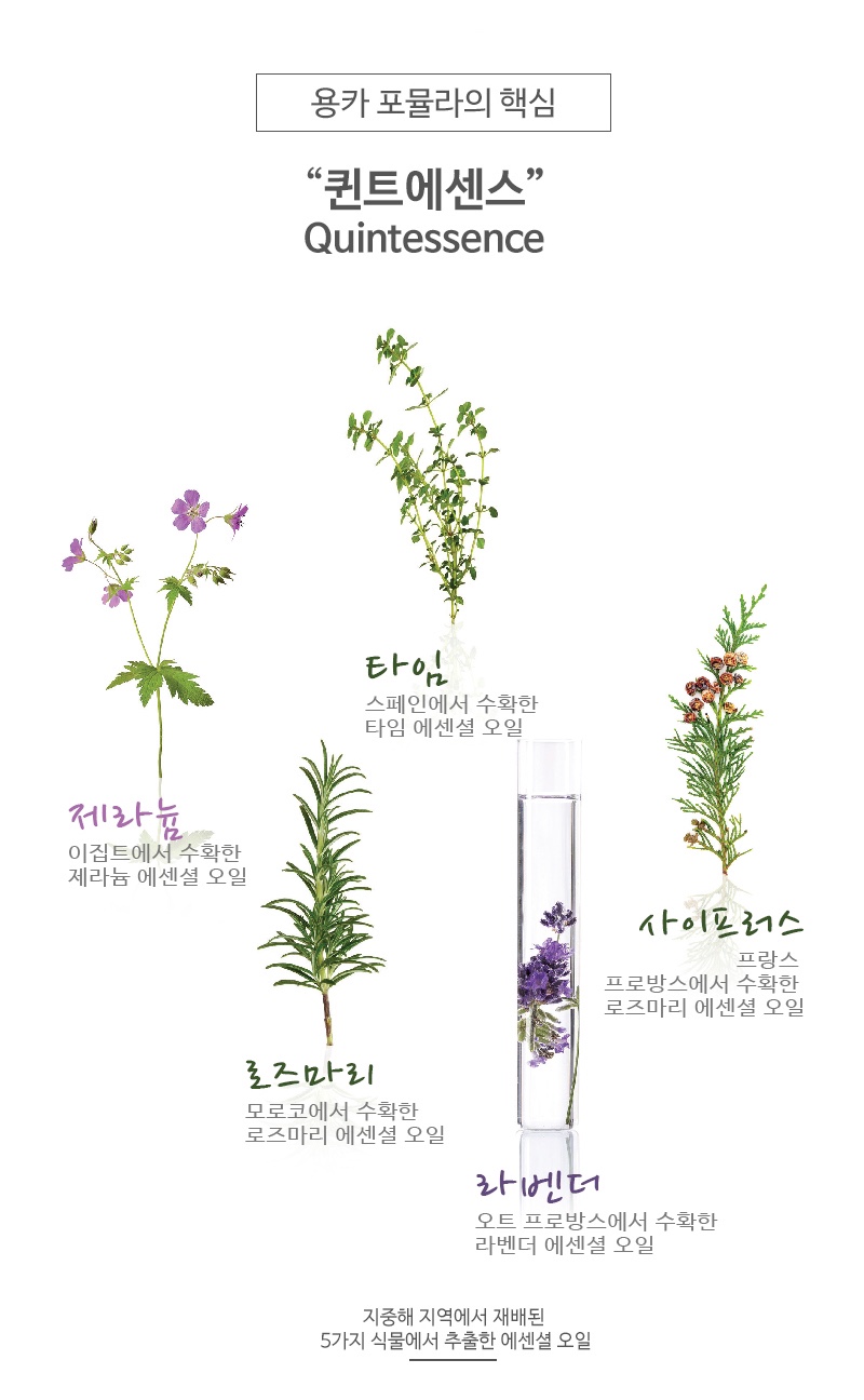 그림;스킨바디 이미지