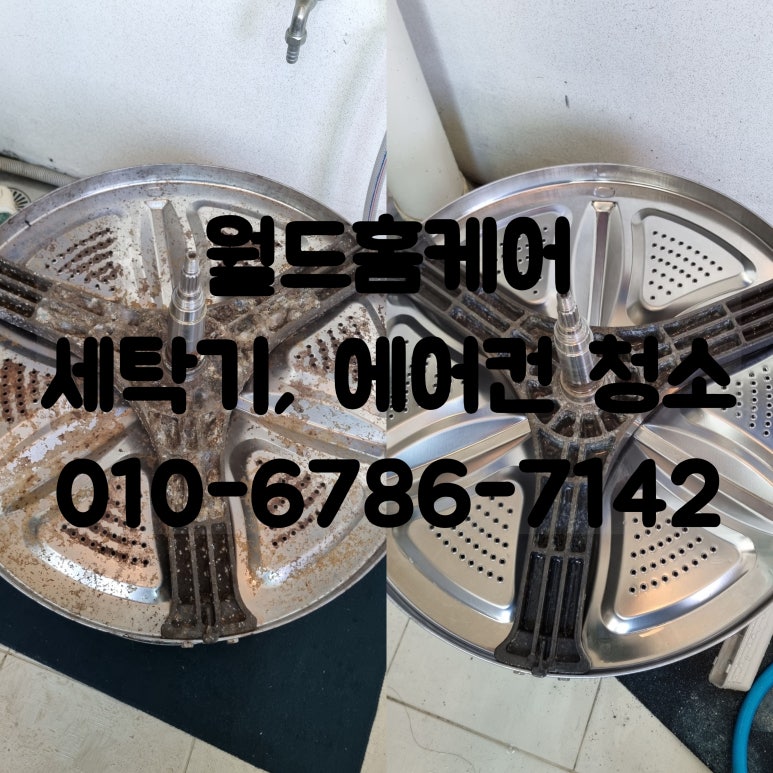 월드홈케어 이미지