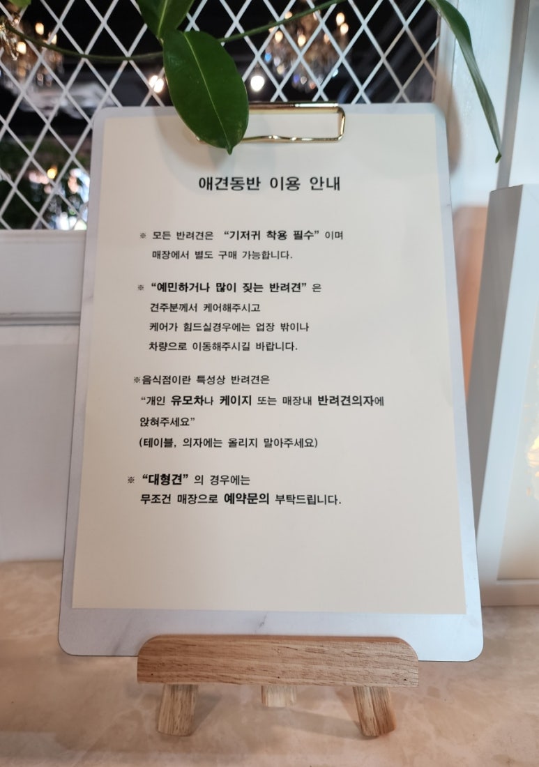 프란디움 이미지