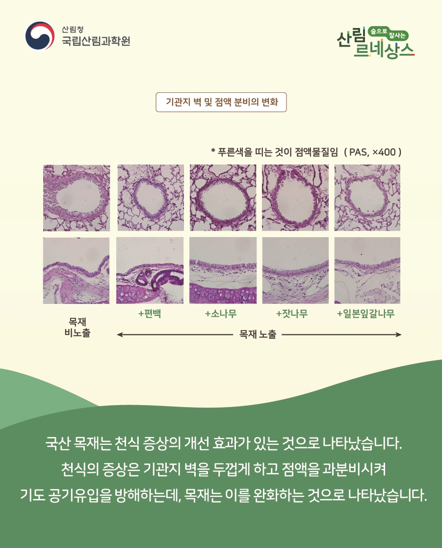 우리목재 이미지
