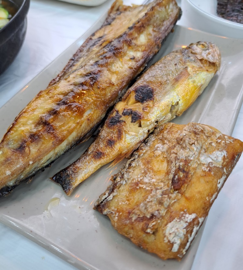 거북이 몰 이미지