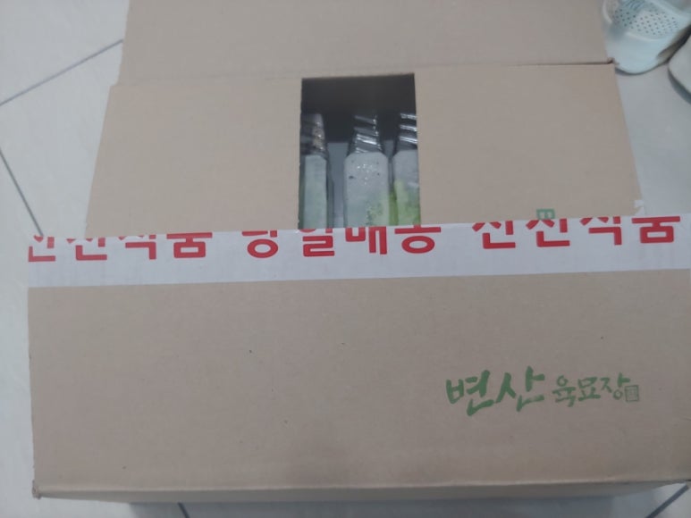 부안육묘장 이미지
