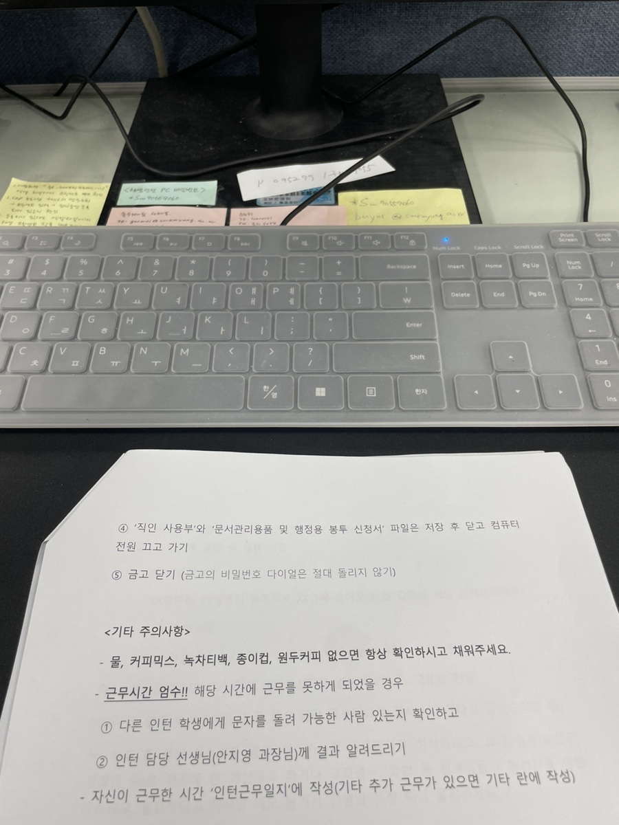 아미바오 이미지