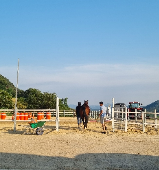 아미승마클럽 이미지