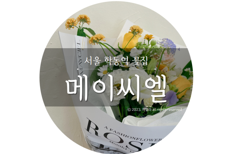 메이씨엘 이미지