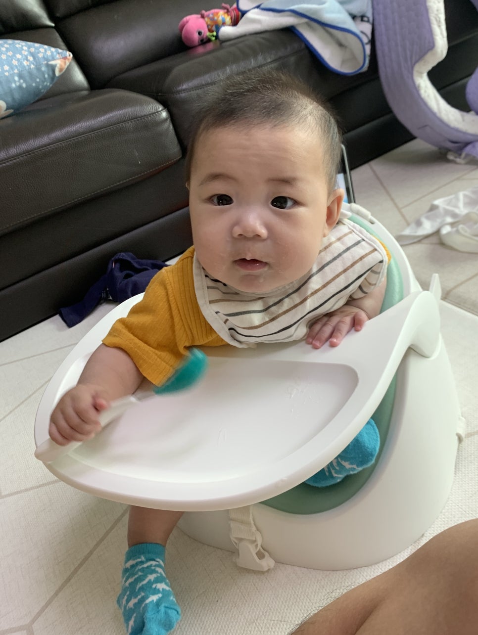 트립안드로메다 이미지