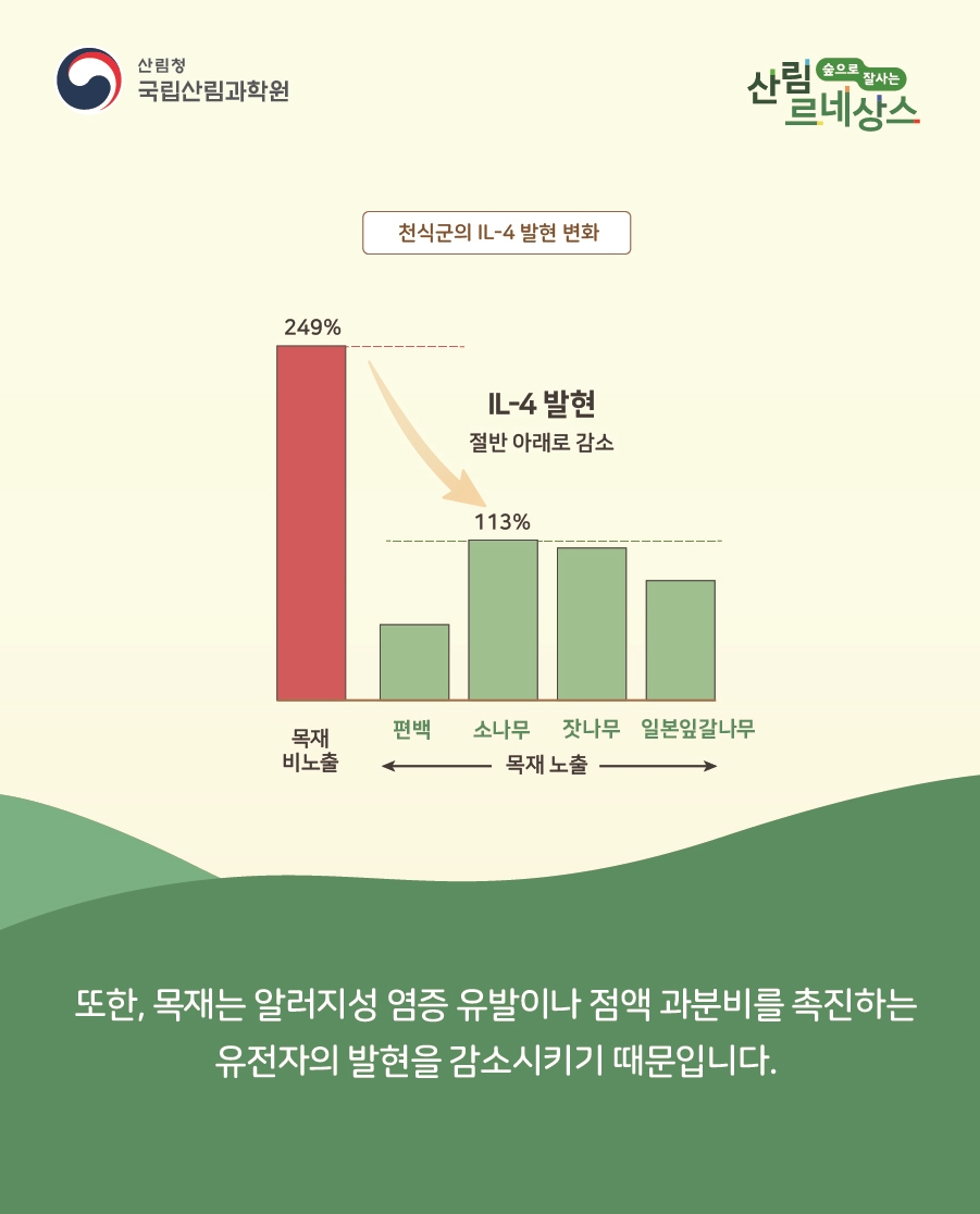 우리목재 이미지
