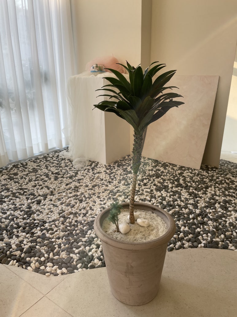 미묘,花 이미지