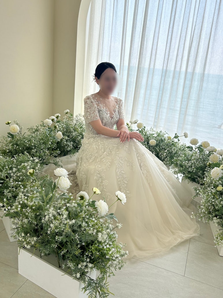 블랑드엘라 이미지