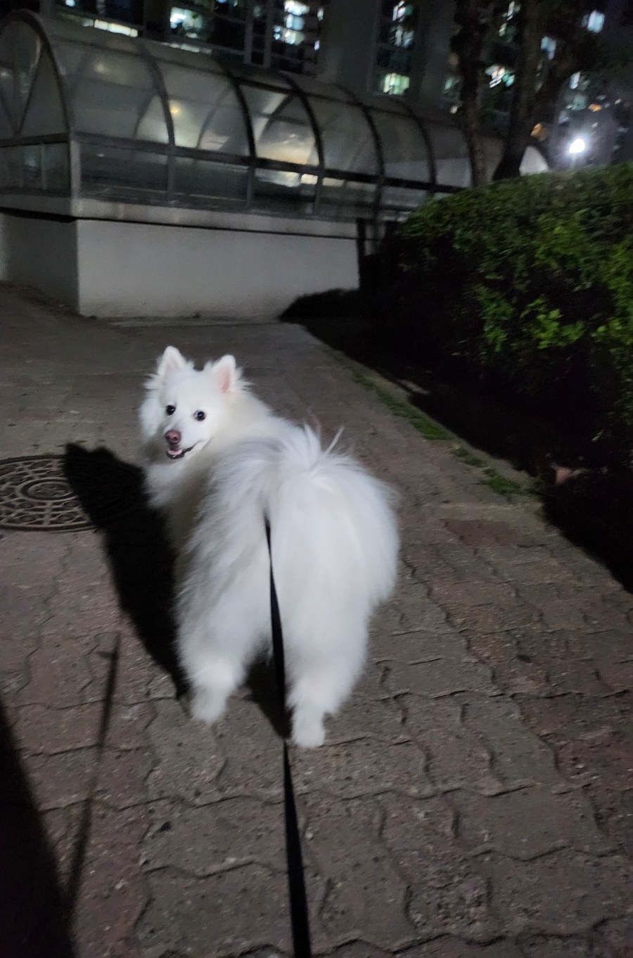 마포돌삼겹살 이미지