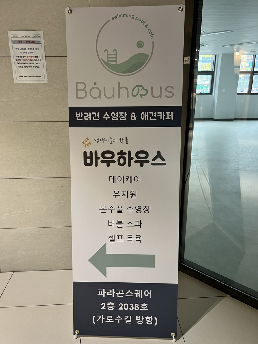 하남 애견카페 바우하우스, 강아지 수영장 이용 후기 — 사진 2