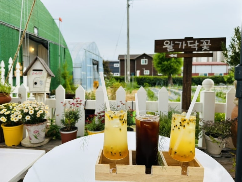 왈가닥꽃 이미지