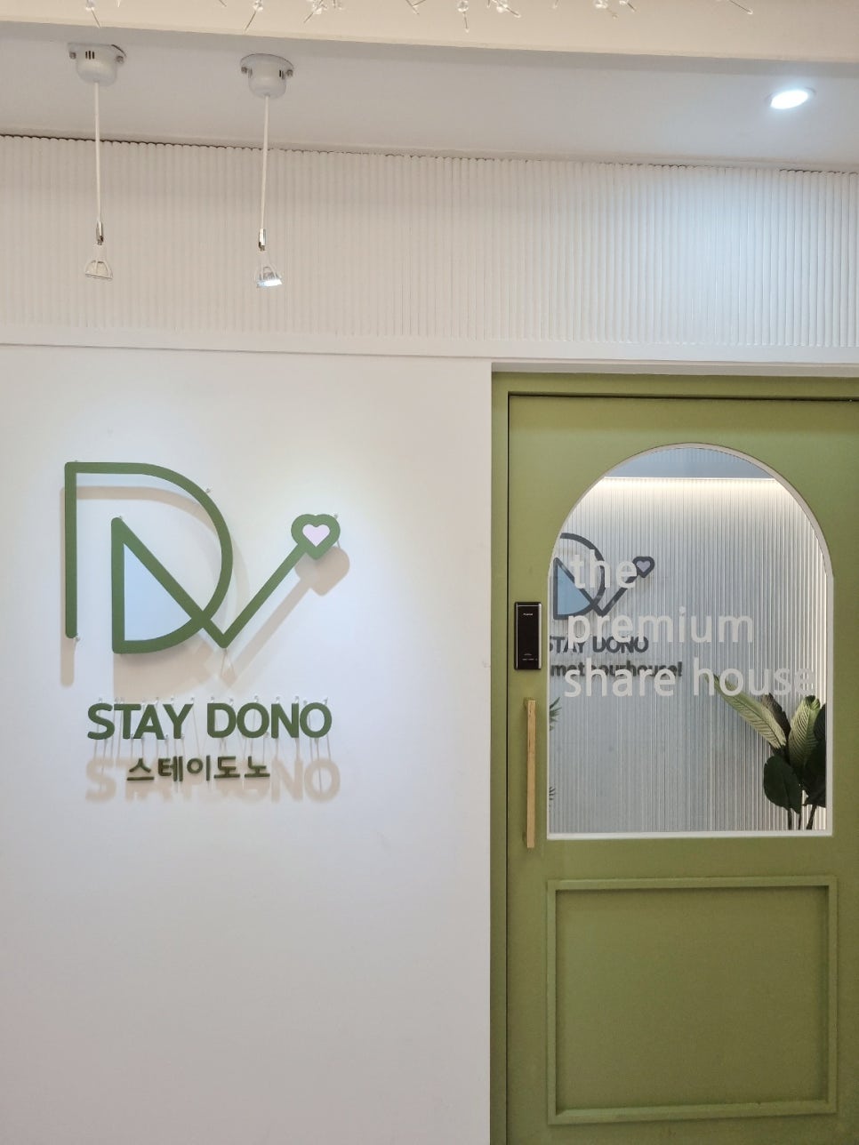스테이도노망포 이미지