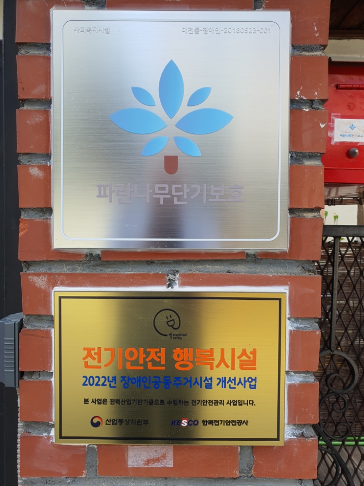 파란나무 이미지