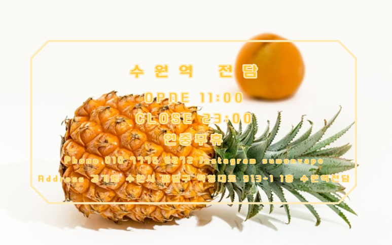 저담 이미지