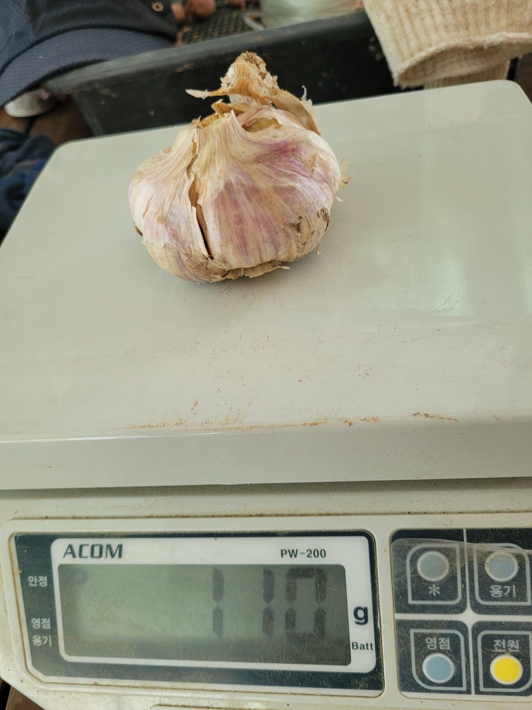 텃밭마트 이미지