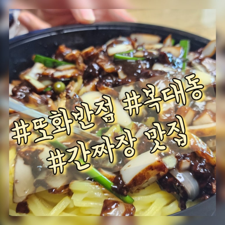 또화반점 이미지