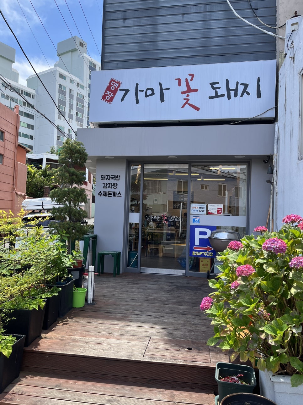 가마꽃돼지 이미지