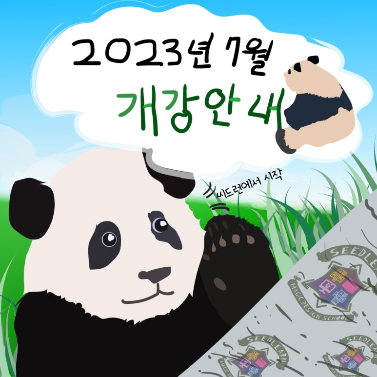 씨드런 이미지